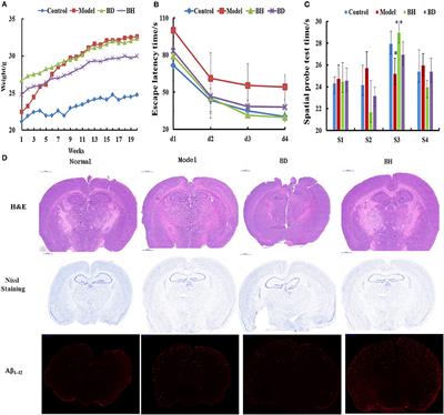 Effects of Oligosaccharides From Morinda officinalis on Gut Microbiota and Metabolome of APP/PS1 Transgenic Mice